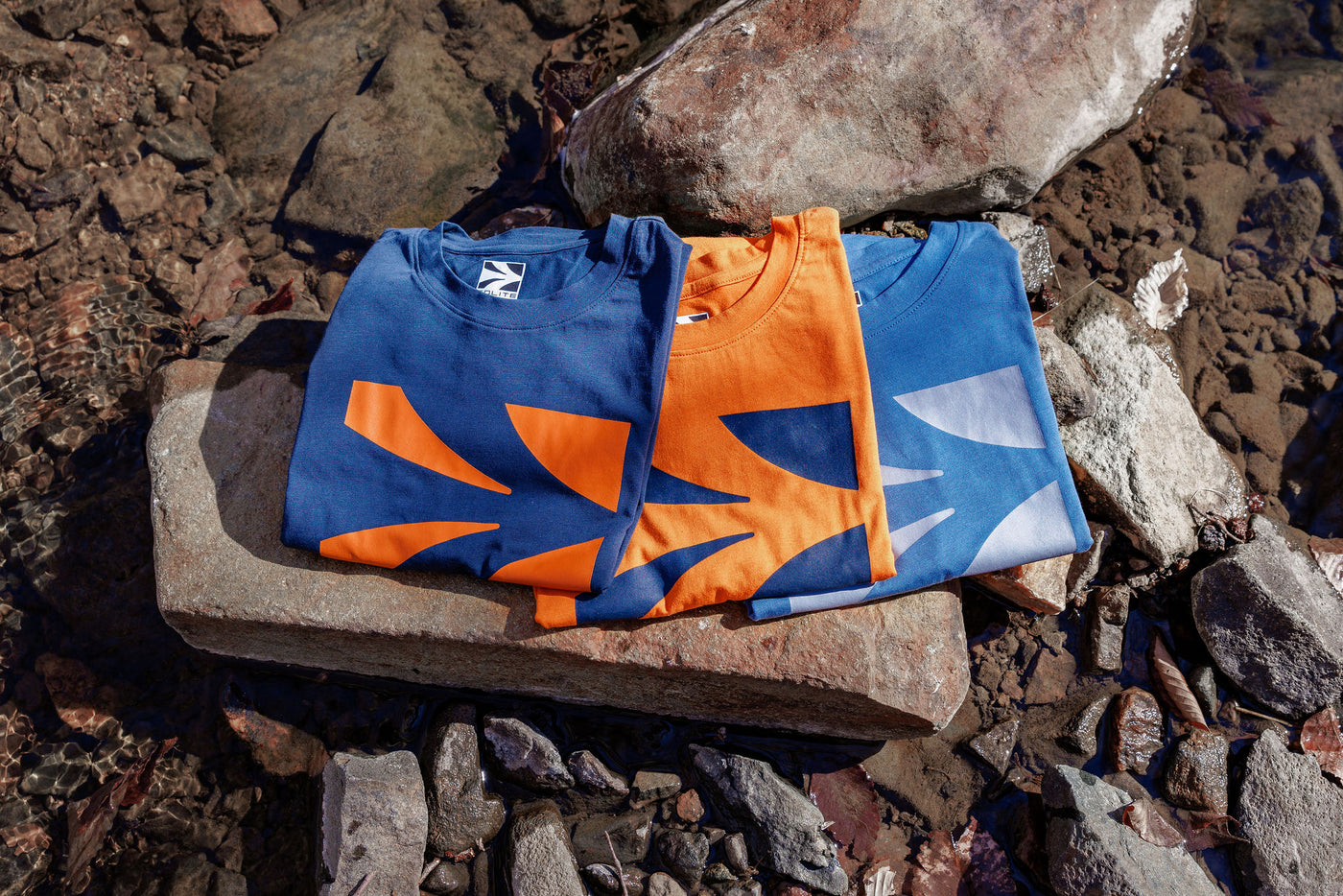 Big Logo Tee